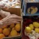 Trump administration ends annual report on hunger in America