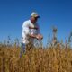 US soybean farmers caught in Trump’s trade battle with China