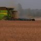 Trump plans aid package for US soybean farmers while seeking trade deal with China