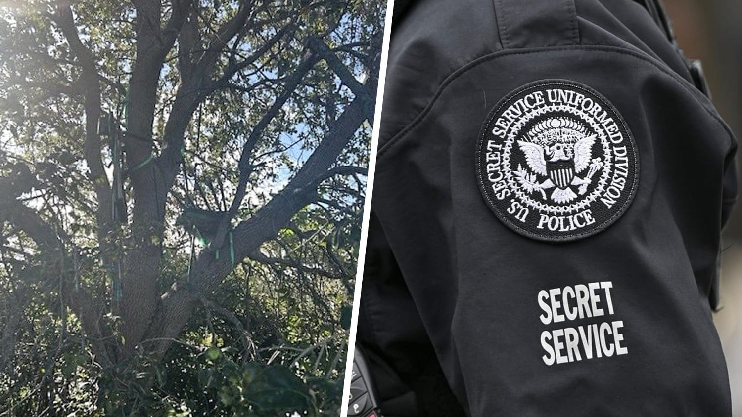 Secret Service discovered hunting stand with direct view of Air Force One at Florida airport