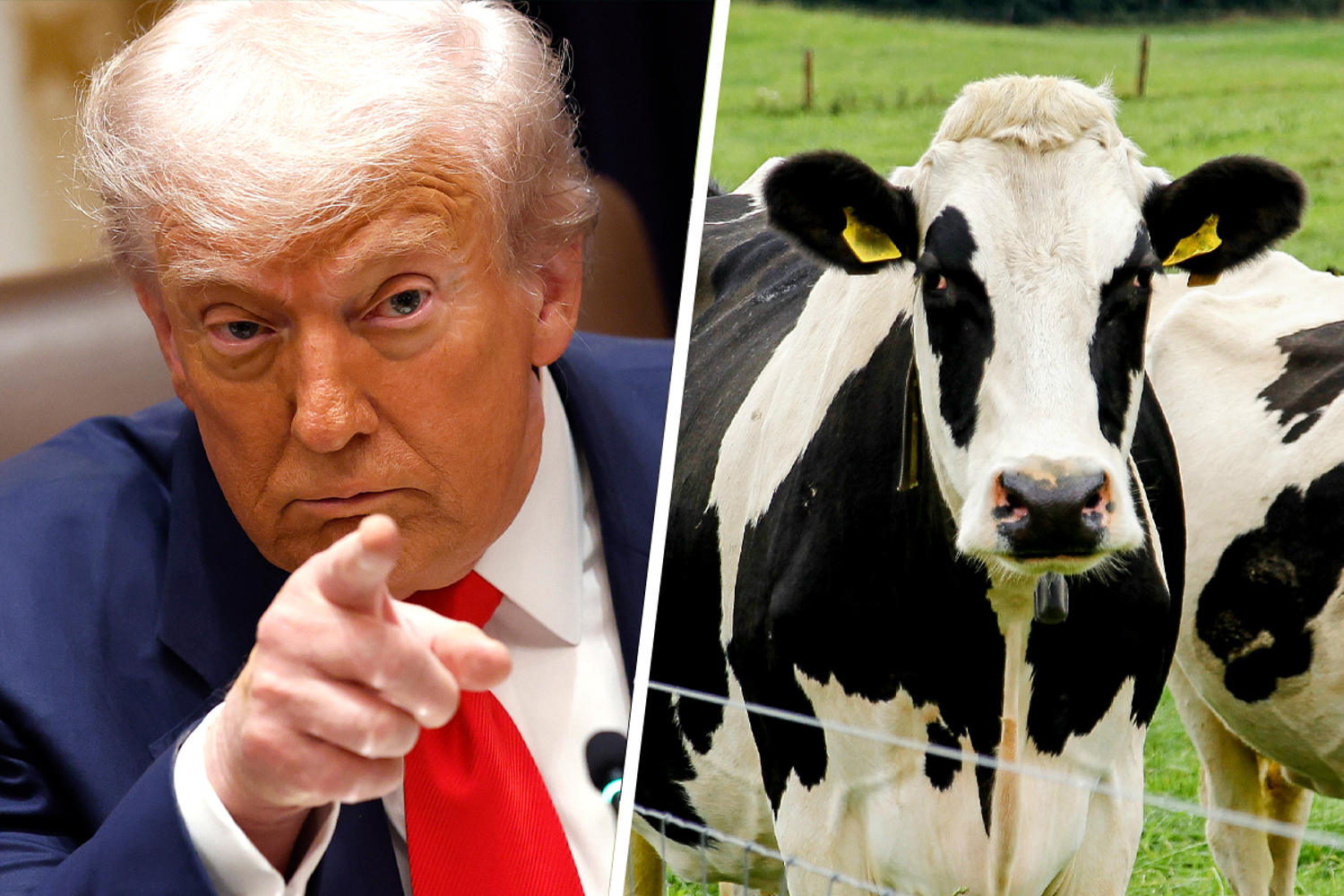 Some of Trump’s most loyal voters are now feeling the sting of his betrayal