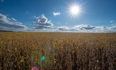 4 Republicans back Senate resolution to undo Trump’s tariffs