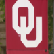 Another instructor removed by University of Oklahoma amid protest over student’s failing grade