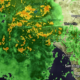 LIVE: Southern California hit with strongest Christmas storm in years
