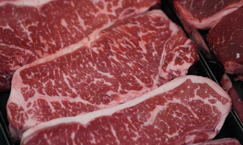 Experts question diet guidelines’ higher protein-intake advice