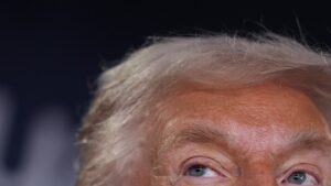 Stock market sends a message to Trump on Greenland