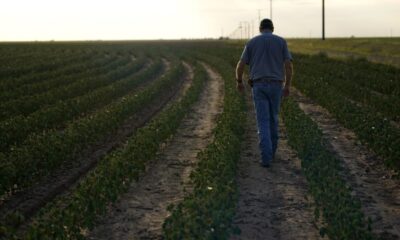 Fuel and fertilizer price spikes leave Texas farmers under pressure