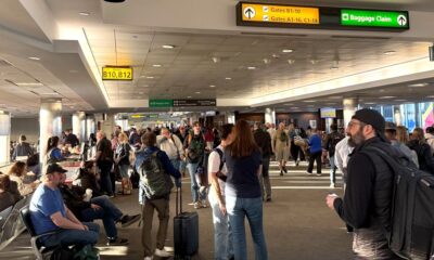 A strong chemical smell forces a 1-hour flight halt at 4 major DC-area airports