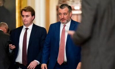 Cruz proposes splitting ICE from Homeland Security funding bill to end airport chaos