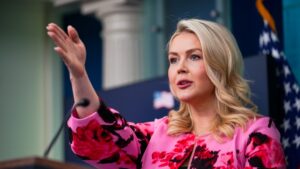 Leavitt on Trump’s TSA order: ‘It should not have come to this point’