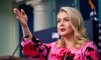 Leavitt on Trump’s TSA order: ‘It should not have come to this point’