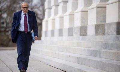 Schumer rolls out Democrats’ midterm energy pitch