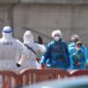 Why hantavirus isn’t the next pandemic, according to health officials