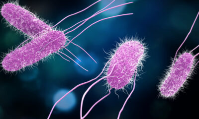 The food recalls, alerts issued over salmonella concerns this month