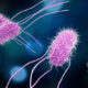 The food recalls, alerts issued over salmonella concerns this month