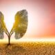 Repeal of EPA’s endangerment finding won’t change the realities of chronic disease