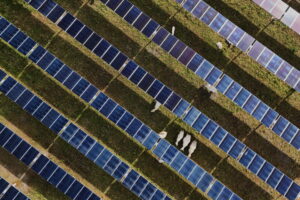 Solar power beats coal for electricity generation despite Trump policies