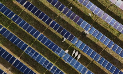 Solar power beats coal for electricity generation despite Trump policies