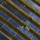 Solar power beats coal for electricity generation despite Trump policies