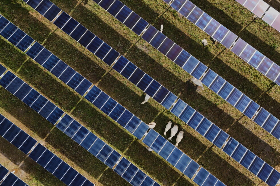 Solar power beats coal for electricity generation despite Trump policies