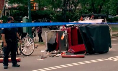New York mayor, other leaders push to ban horse-drawn carriage rides after Indian teen’s death
