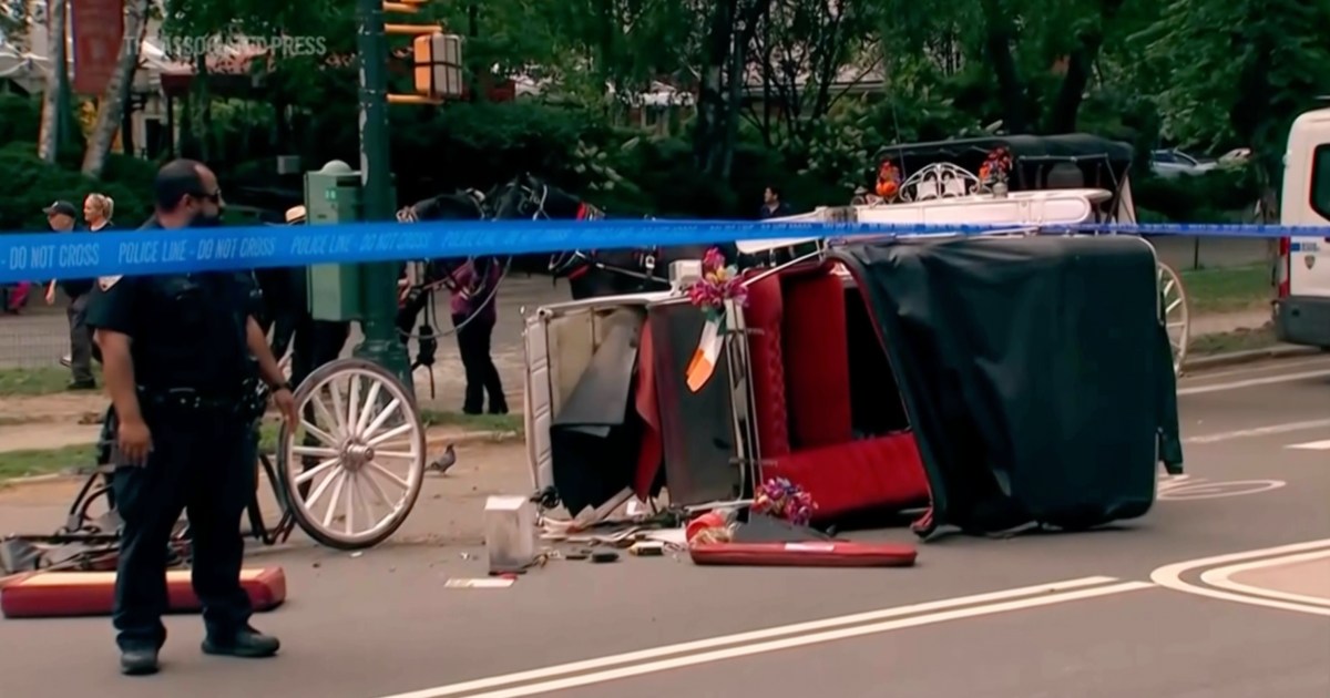 New York mayor, other leaders push to ban horse-drawn carriage rides after Indian teen’s death