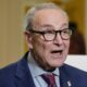 Democrats want control of Congress, but what will they actually do with it?