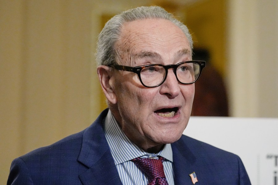 Democrats want control of Congress, but what will they actually do with it?