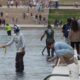 National Guard, Park Police patrolling Reflecting Pool