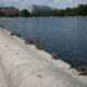 The Lincoln Memorial should be green with envy: This reflecting pool stayed clear