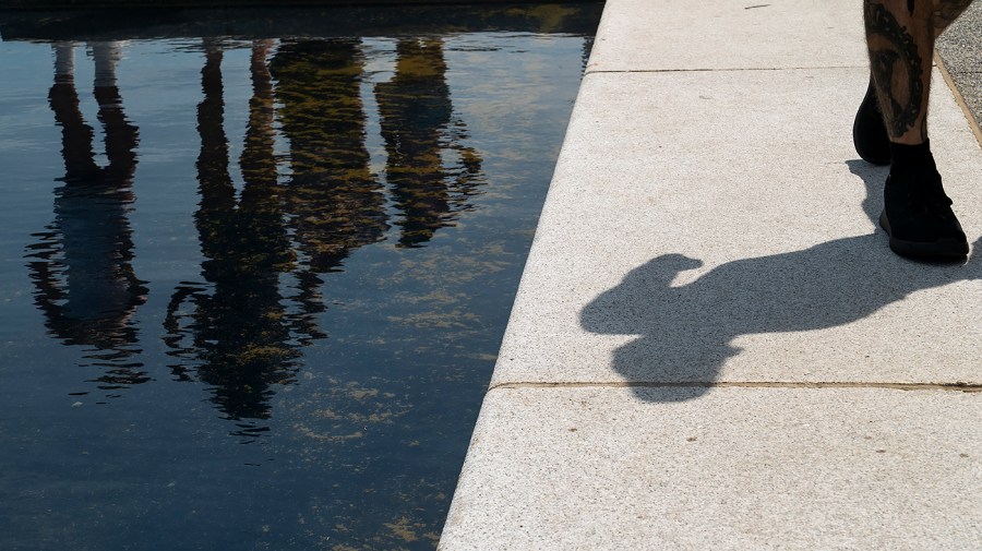Trump: Reflecting Pool will be drained after July 4; algae ‘criminally made’