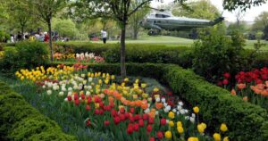 How the White House Rose Garden and its plantings have changed over the past century