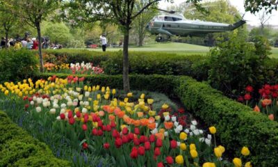 How the White House Rose Garden and its plantings have changed over the past century