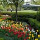 How the White House Rose Garden and its plantings have changed over the past century