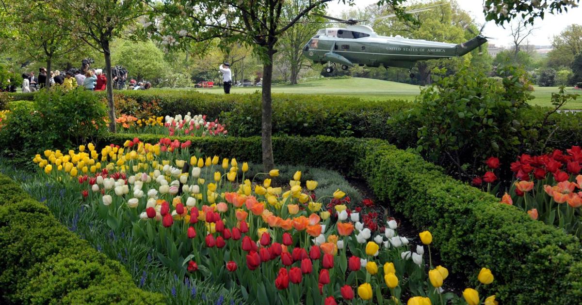 How the White House Rose Garden and its plantings have changed over the past century