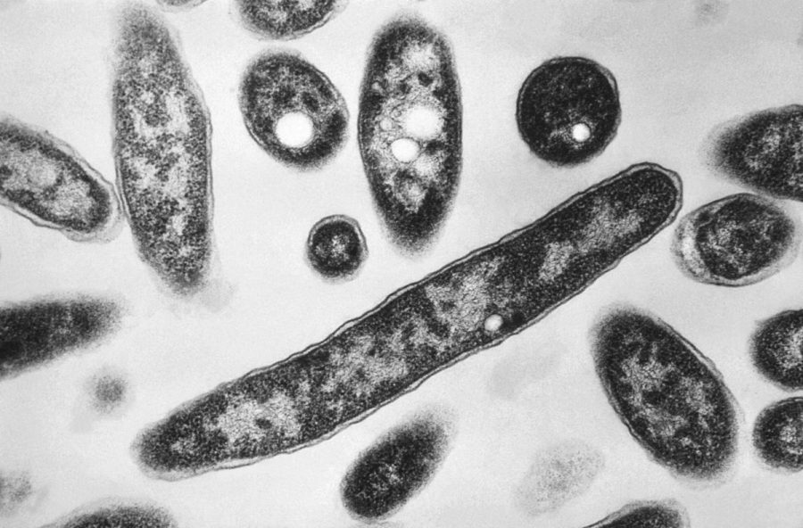 Legionnaires’ cluster grows in New York City: Health Department