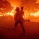 Fake fire shelters raise safety concerns for wildfire crews