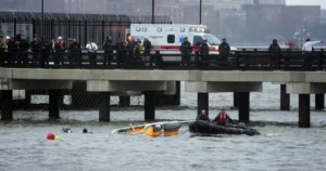 Bird strike may have caused New York sightseeing helicopter crash, says NTSB