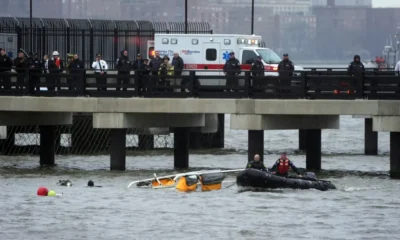 Bird strike may have caused New York sightseeing helicopter crash, says NTSB