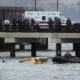Bird strike may have caused New York sightseeing helicopter crash, says NTSB