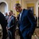 Mike Johnson’s budget blueprint faces Senate GOP buzzsaw