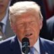 Trump tariffs come back to haunt GOP as elections near