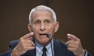 Paul releases Fauci’s diary entries ahead of hearing