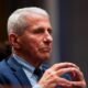 Live updates: Fauci invokes Fifth at Senate COVID hearing; Blanche nomination at stand-still